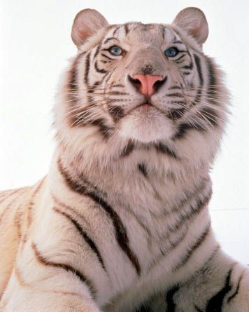 Ольга Счастливая!