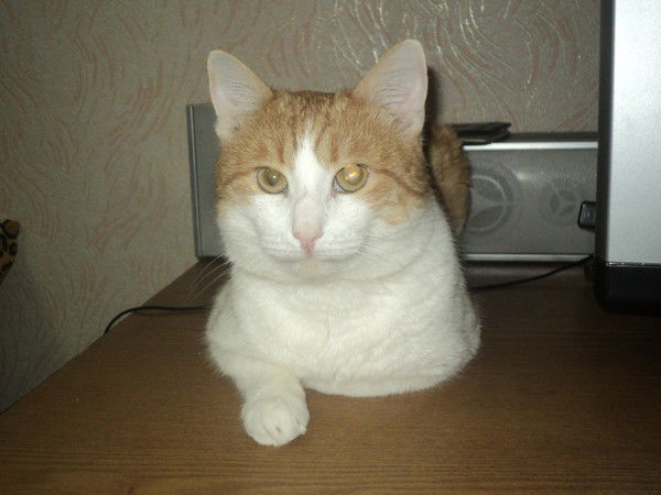 Лёша Гурьянов