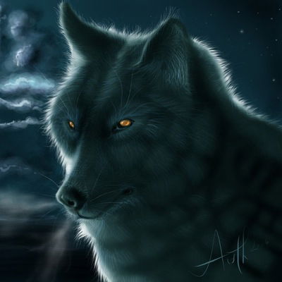 Дмитрий Болычев