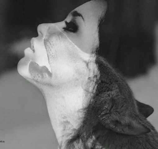 Доминика Метц