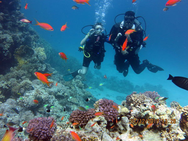 Илья Солуянов