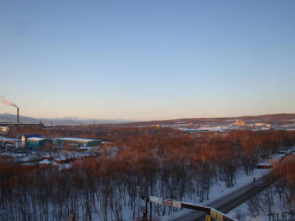 Андрей Шорников