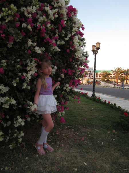 Ольга Турковская