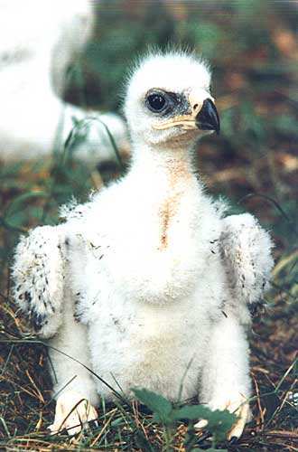 Отдел Главного Энергетика