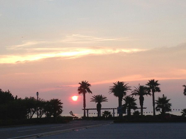 Любовь Василюк