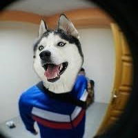 Дима Ральчик