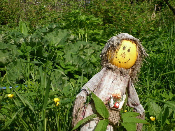 Александр Моторин