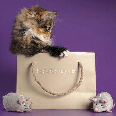 Маргарита Цветкова