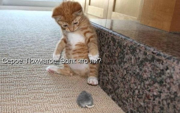 Кому Надо Тот Знает. ))))