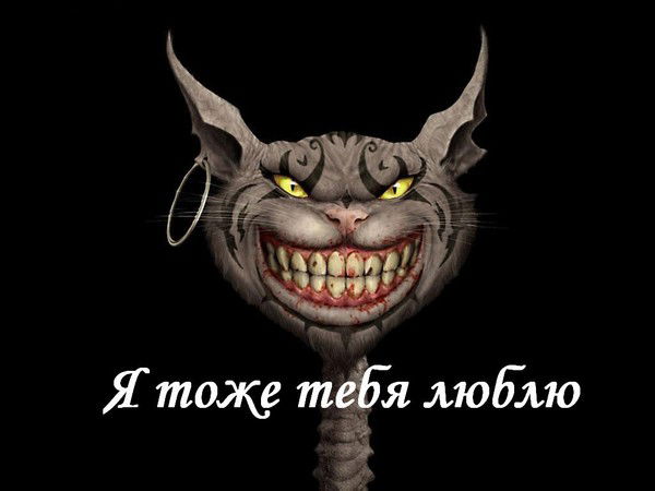 Ирина Шрейдер(Ози)