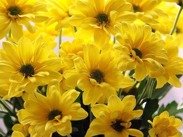 Нургуль Жакулина