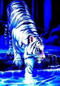 Алина Слепова