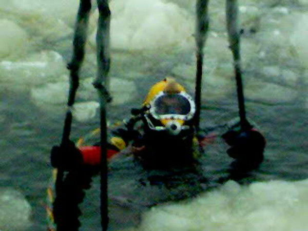 Александр Доценко