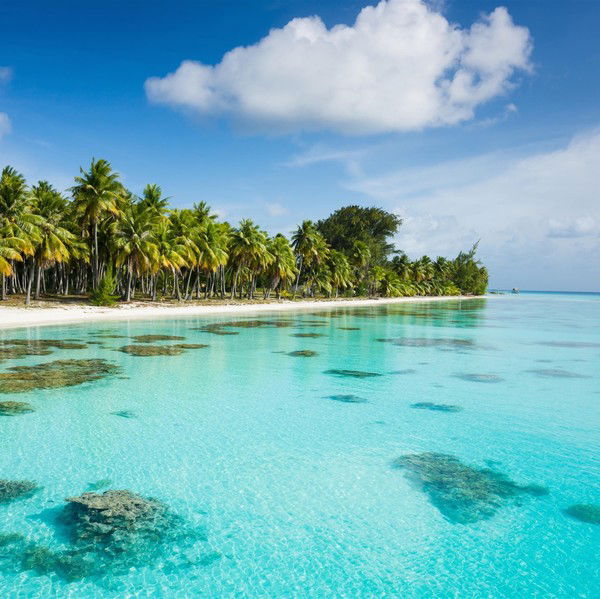 Эдуард Фролов