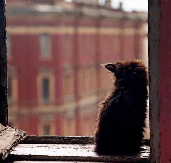 Станислав Глеклер