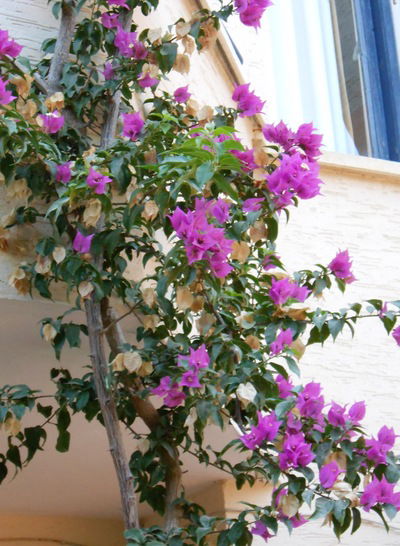 Гузаль Самигуллина