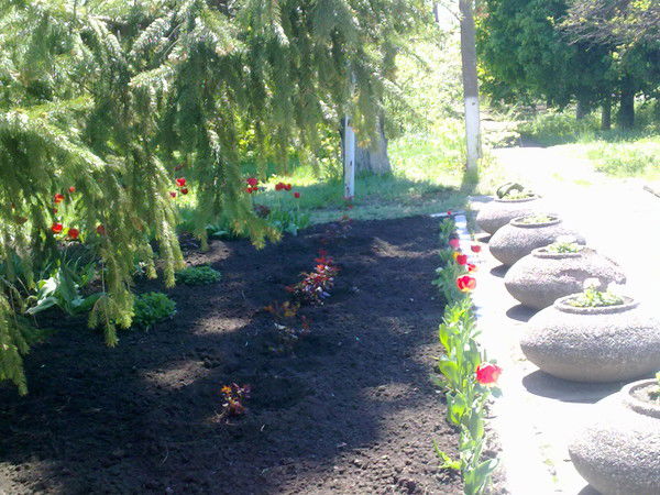 Лена Гладух