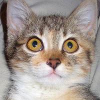 Юля Барсукова