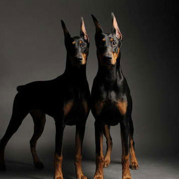 Ханс Кристиан