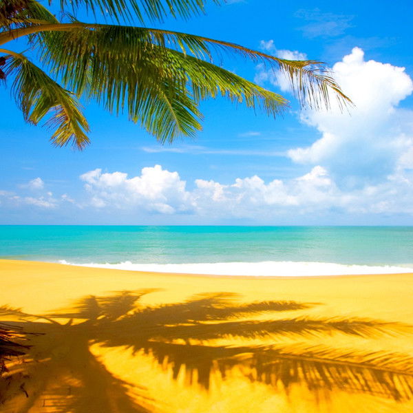 Наталья Клюкина