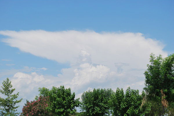 Виталй Рибак