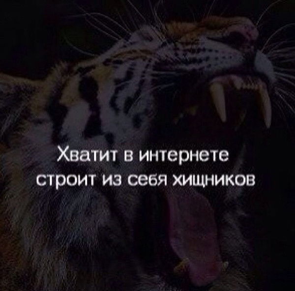 Лола Камолова