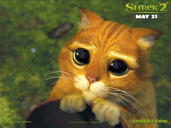 Артур Шумаков