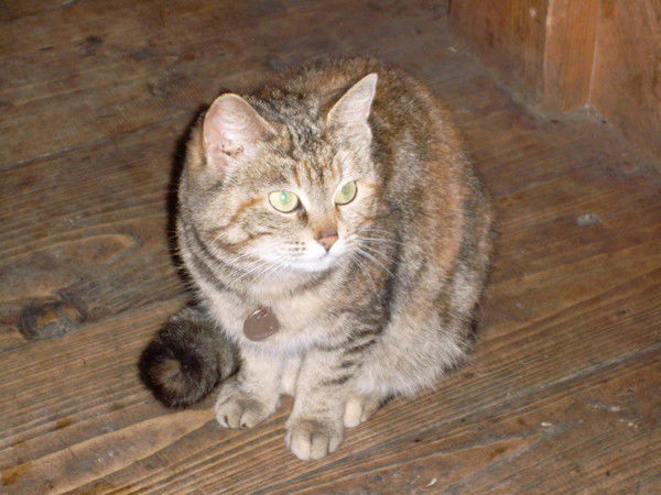 Айрат Мусин