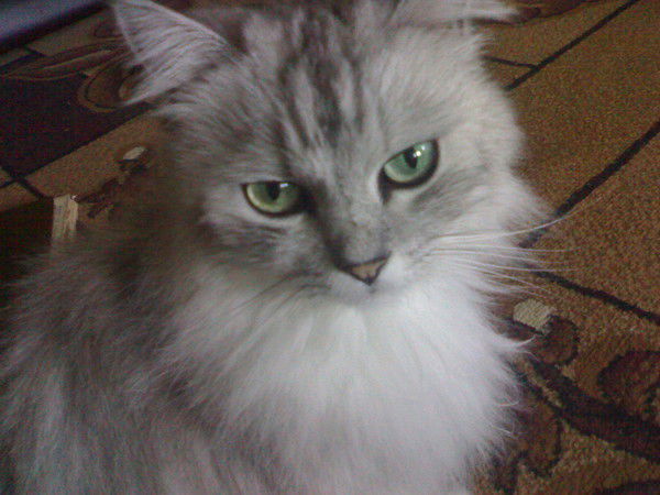 Сергей Парандий