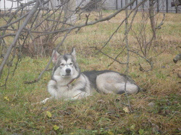 Ольга Евтюхина