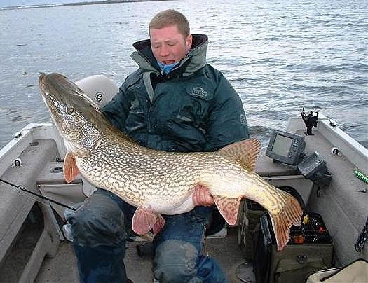 Алексей Дон