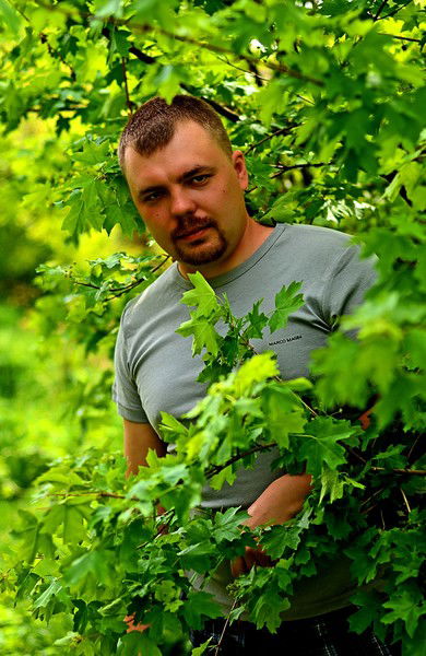 Александр Бех