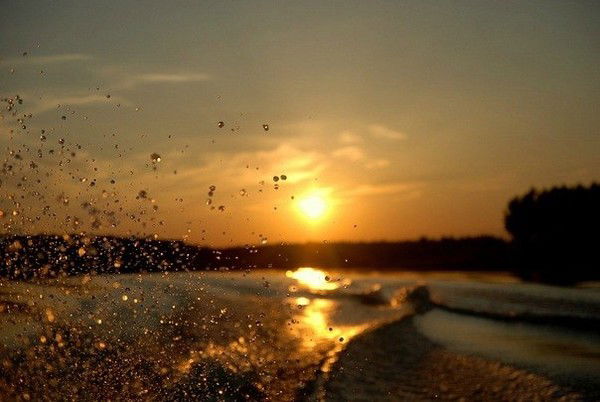 Ольга Шадрина