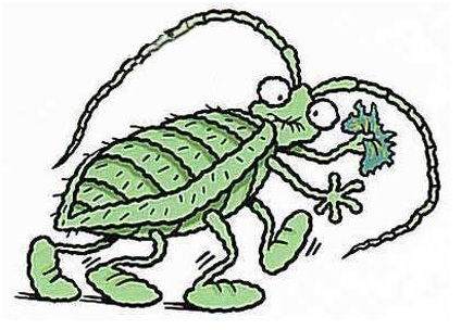 Костя Тараканов