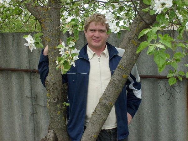 Николай Салтовский