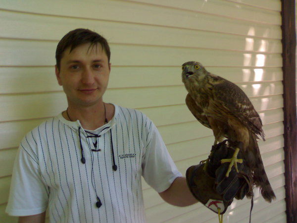 Андрей Шальтов