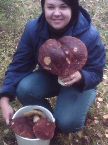 Елена Смирнова(Курочкина)