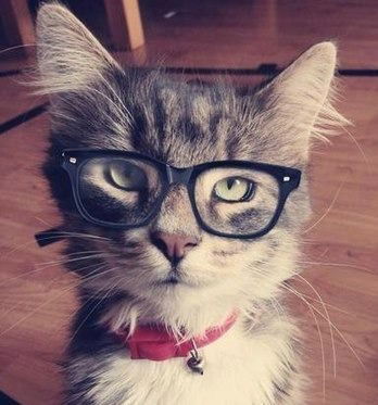 Мария )))))))))