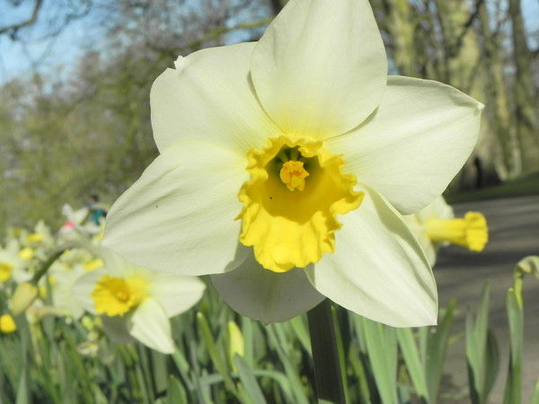 Ирина Заиченко