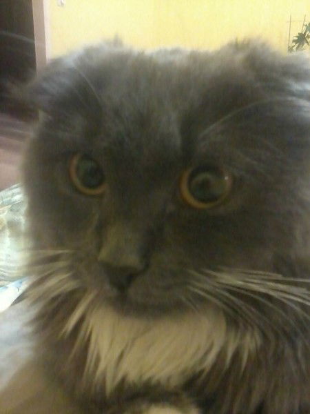 Наталья Сумина