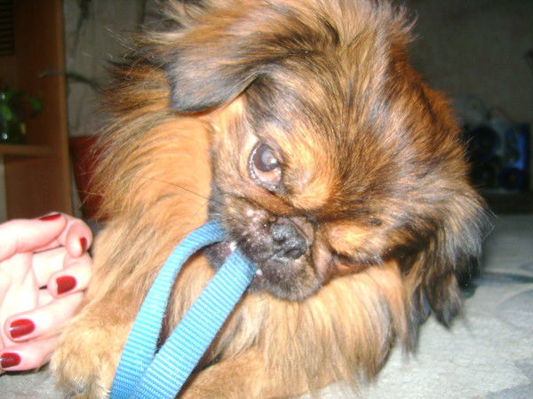 Светлана Сергиенко