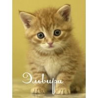 Эля Басурманова