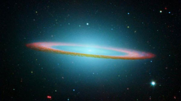 Марина Фефелова