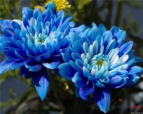 Маржанат Байбатырова