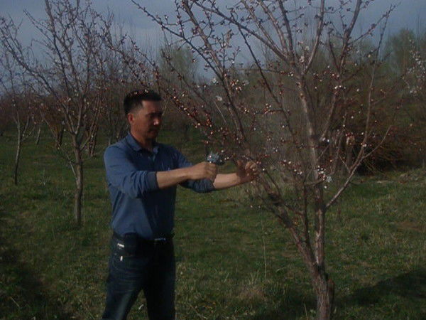 Радулин Аширов