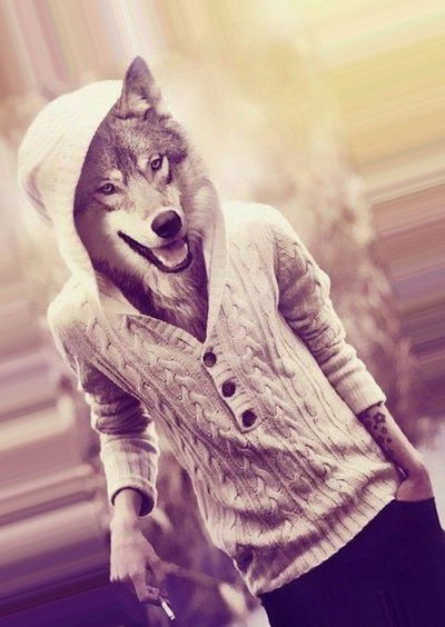 Владислав Ениватов