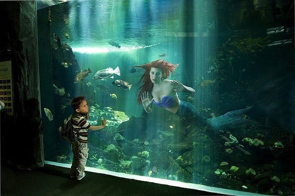 Алеся Овсянникова