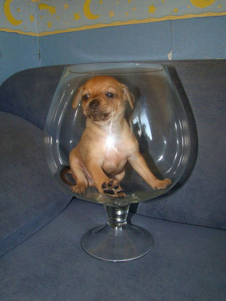 Мишаня Мишаня