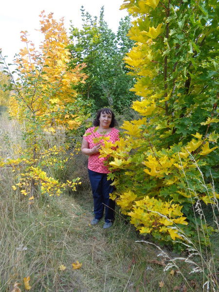 Наталья Кулакова