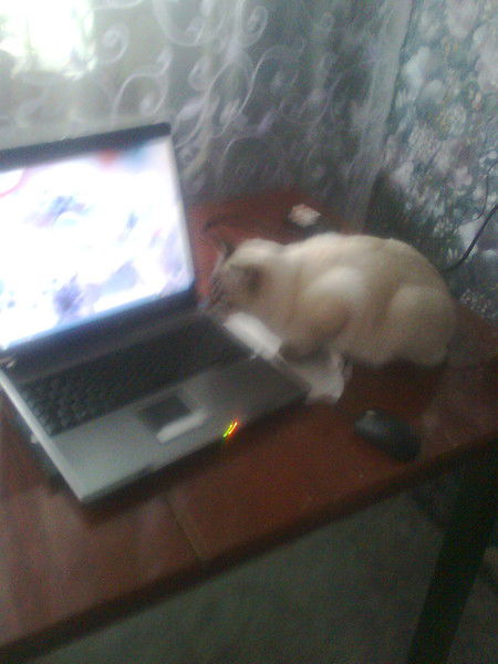 Татьяна Литвинова